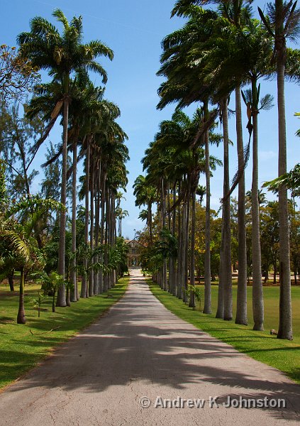 0408_40D_2393.jpg - The avenue down to Codrington College, once a plantation house and now a theological college