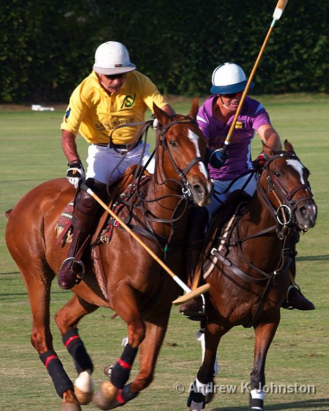 0410_40D_0345.jpg - The Barbados vs. USA polo match, 2011