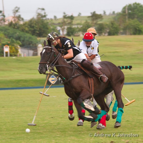 0411_7D_4674.jpg - International Polo - Barbados vs the USA!