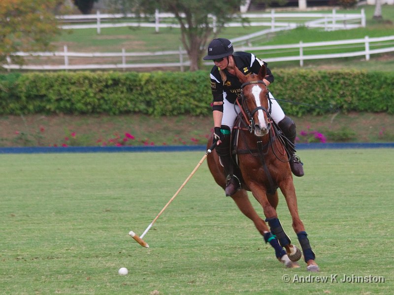 0411_7D_4682.jpg - International Polo - Barbados vs the USA!