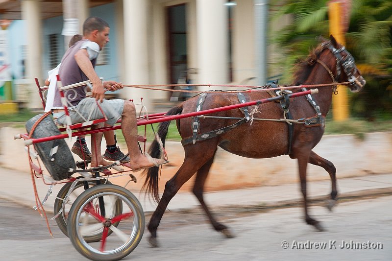 1110_7D_2946.jpg - Horse and cart bolting on the streets of Vinales