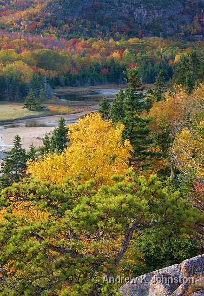 1008_40D_4529.jpg - View over Sand Beach, Acadia National Park, Maine