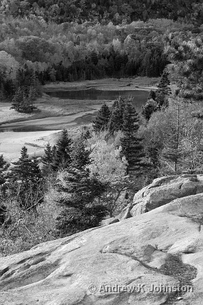 1008_40D_4542_mono.jpg - "Fall Color"View over Sand Beach, Acadia National Park, Maine