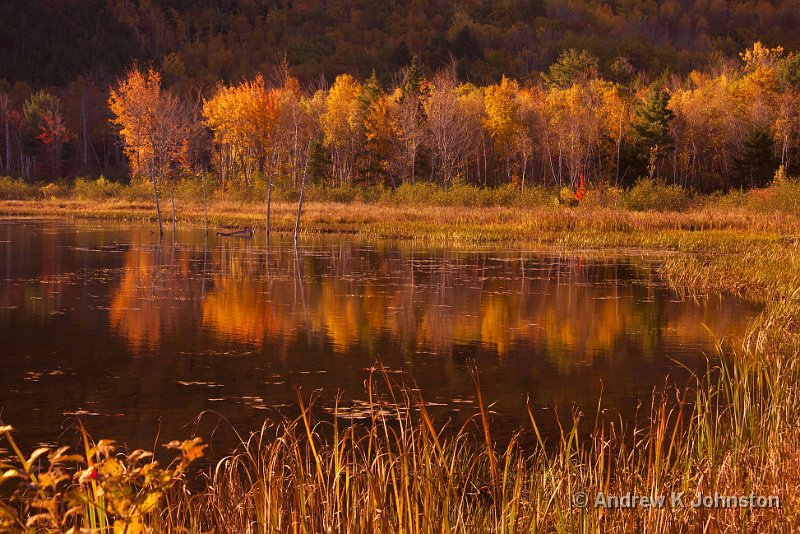 1008_40D_4881.jpg - Bear Brook Lake, Acadia National Park, Maine