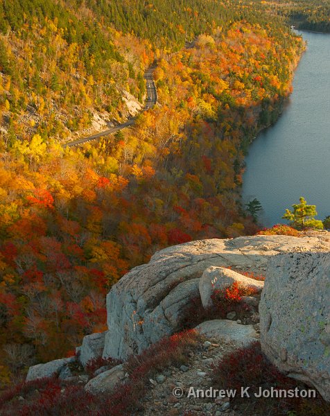 1008_40D_4941.jpg - View from Bubble Rock, Acadia National Park, Maine