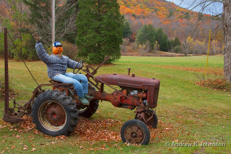 1008_40D_5075.jpg - Halloween display near Grafton, Vermont