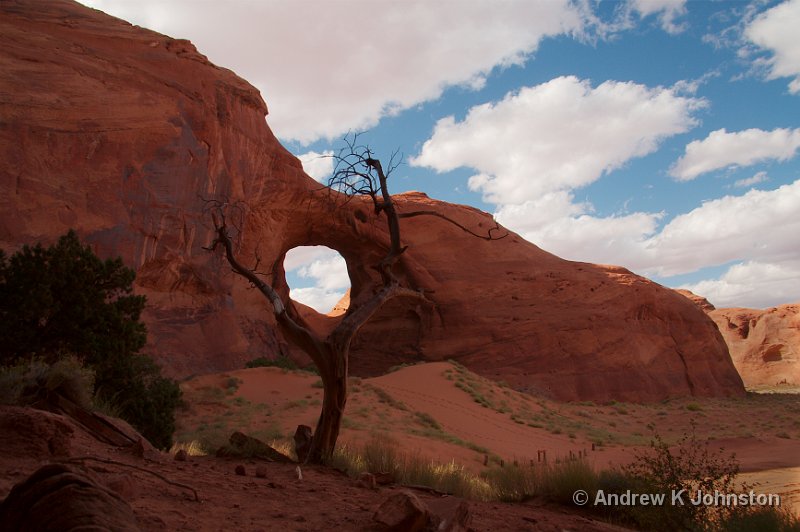 1007_350D_8030.JPG - The "Ear of the Wind", Monument Valley Tribal Park, Arizona