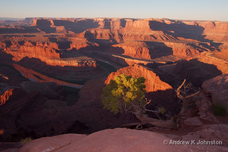 1007_350D_8171.jpg - Sunrise at Dead Horse Point State Park, near Moab, Utah