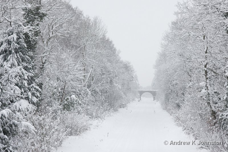 0209_40D_5748.jpg - A foot of snow on the railway at Effingham, February 2009