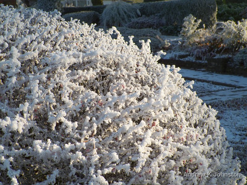 1210_G10_1136.jpg - Frost detail, Hinckley