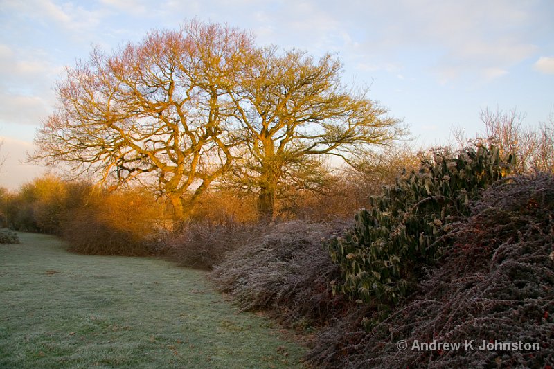 IMG_6404.jpg - Taken around the back of Cherwell Valley Service Station on the M40!