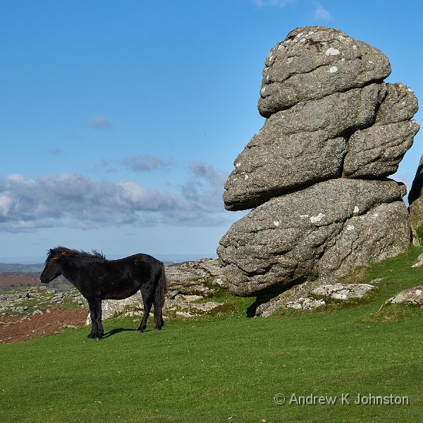 201104_G9_1010791.jpg - Saddle Tor, and a nice Dartmoor pony!