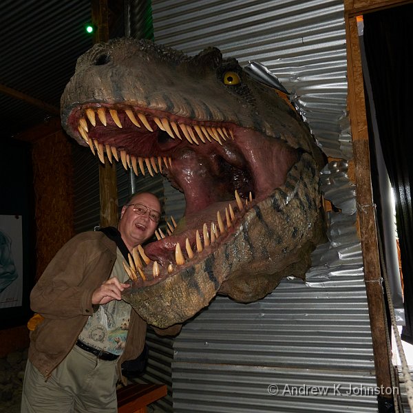230212_RX100m7_02021.jpg - Who let the Giganotosaurus in?