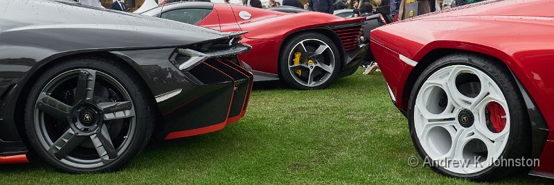 250605_G9_1000142.jpg - Bulls and Prancing Horses