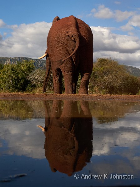 250612_G9_1000196.jpg - Receding elephant at the Bejhane Hide, Zaminga