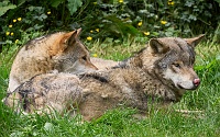 250529_G9ii_1029373