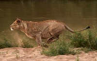 250619_G9ii_1064933