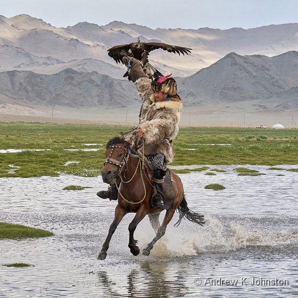 250731_G9ii_1076630.jpg - Eagle hunting festival