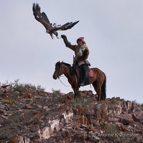 250731_G9ii_1077183.jpg - Eagle hunting festival