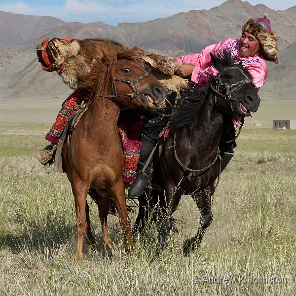 250731_G9ii_1077346.jpg - Eagle hunting festival - tug of war