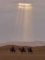 250726_G9ii_1065268