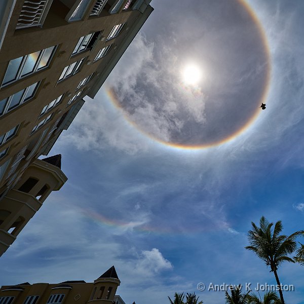 260426_S5D_1014406.jpg - Ice Halo from the Crane Hotel